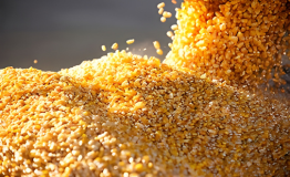 Sacks of DDGS for feed